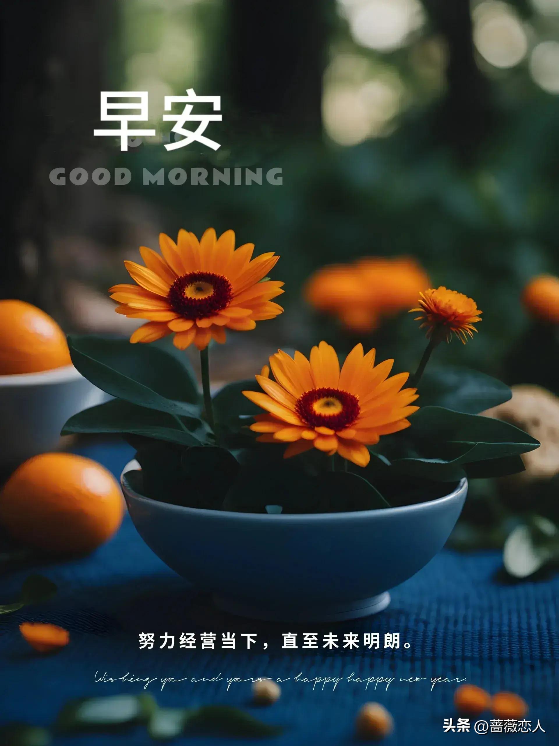 2024年天天彩免费资料大全-词语释义解释落实