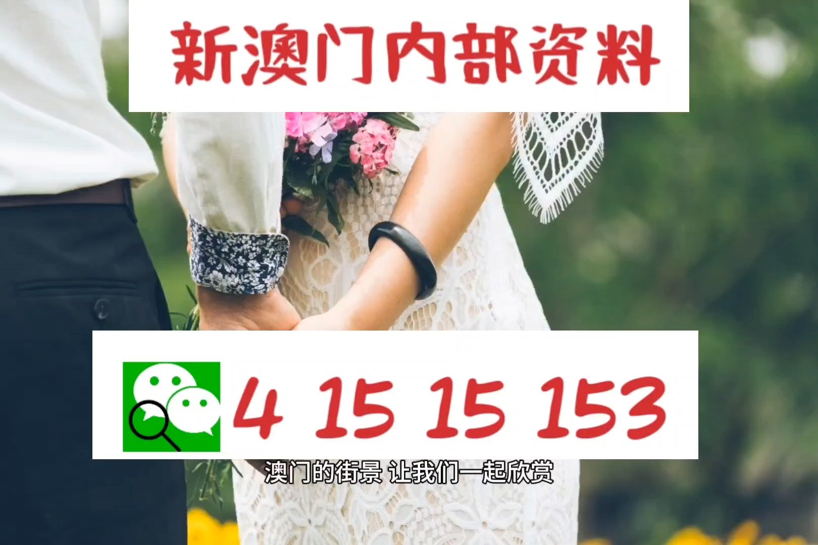 新澳门玄机免费资料-精选解释解析落实
