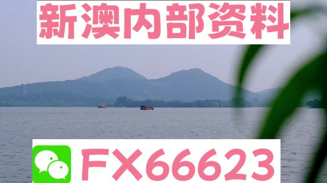 新澳2024年最新版资料-词语释义解释落实